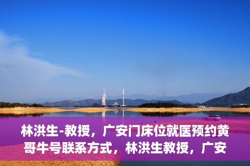 林洪生-教授，广安门床位就医预约黄哥牛号联系方式，林洪生教授，广安门就医预约床位攻略及黄哥牛号联系方式揭秘