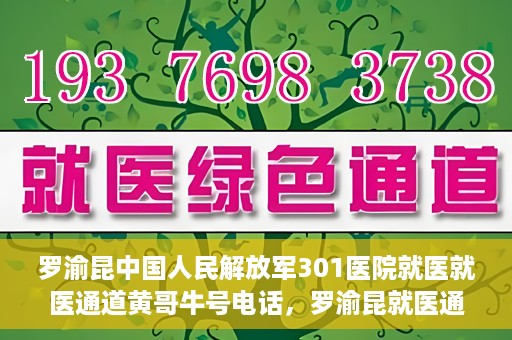 罗渝昆中国人民解放军301医院就医就医通道黄哥牛号电话，罗渝昆就医通道揭秘，中国人民解放军301医院黄哥牛号电话的背后故事