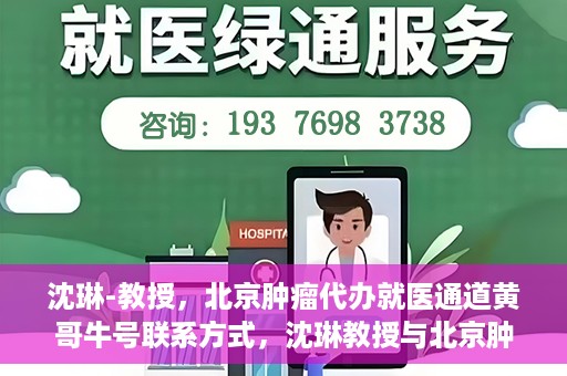 沈琳-教授，北京肿瘤代办就医通道黄哥牛号联系方式，沈琳教授与北京肿瘤就医通道，黄哥牛号联系方式揭秘