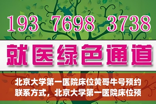 北京大学第一医院床位黄哥牛号预约联系方式，北京大学第一医院床位预约攻略，黄哥牛号预约联系方式揭秘