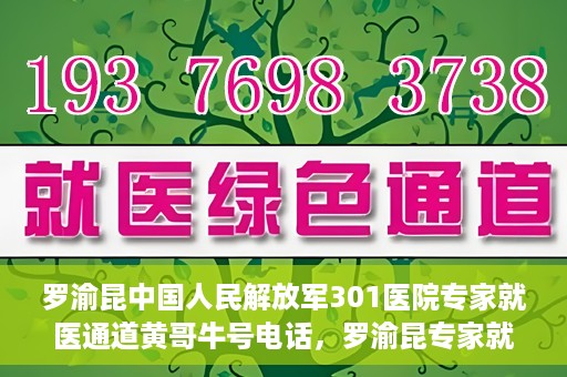 罗渝昆中国人民解放军301医院专家就医通道黄哥牛号电话，罗渝昆专家就医通道揭秘，中国人民解放军301医院黄哥牛号电话专线开通