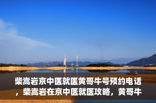 柴嵩岩京中医就医黄哥牛号预约电话，柴嵩岩在京中医就医攻略，黄哥牛号预约电话全解析