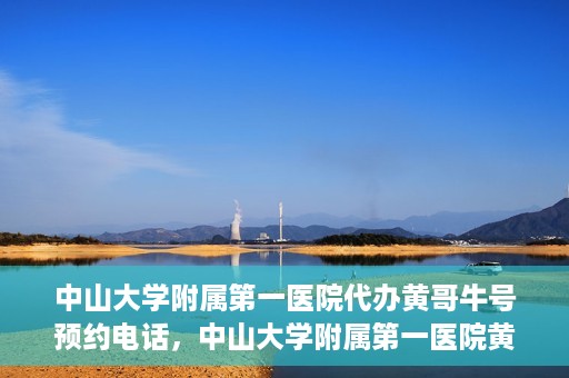 中山大学附属第一医院代办黄哥牛号预约电话，中山大学附属第一医院黄哥牛号预约电话代办服务解析