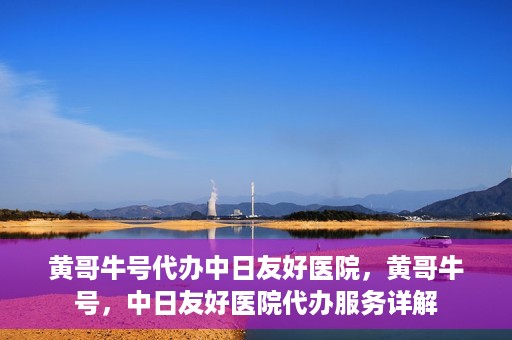 黄哥牛号代办中日友好医院，黄哥牛号，中日友好医院代办服务详解