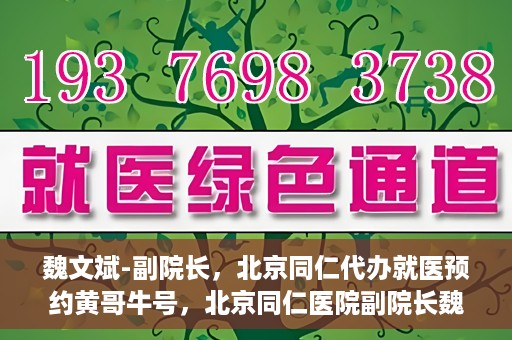 魏文斌-副院长，北京同仁代办就医预约黄哥牛号，北京同仁医院副院长魏文斌揭秘，黄哥牛号助您轻松预约就医新攻略