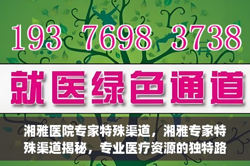 湘雅医院专家特殊渠道，湘雅专家特殊渠道揭秘，专业医疗资源的独特路径探索