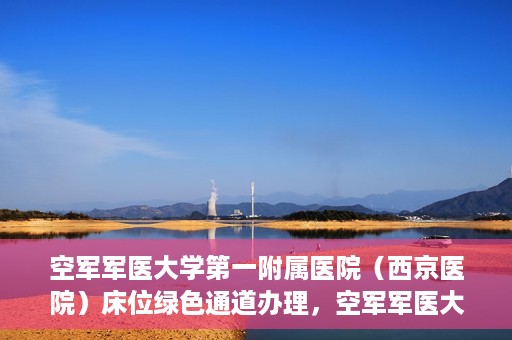 空军军医大学第一附属医院（西京医院）床位绿色通道办理，空军军医大学第一附属医院（西京医院）床位绿色通道办理详解与体验指南