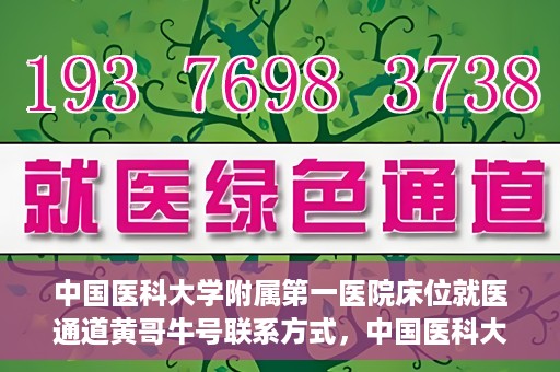 中国医科大学附属第一医院床位就医通道黄哥牛号联系方式，中国医科大学附属第一医院床位就医通道，黄哥牛号联系方式全解析
