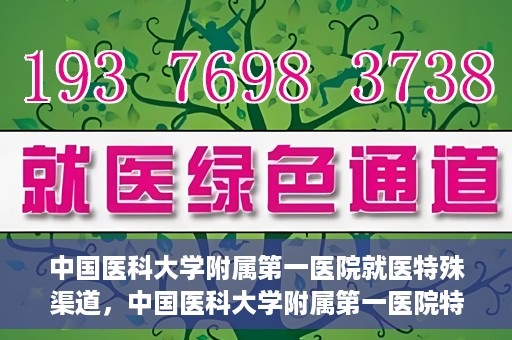中国医科大学附属第一医院就医特殊渠道，中国医科大学附属第一医院特殊就医渠道解析