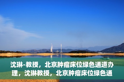 沈琳-教授，北京肿瘤床位绿色通道办理，沈琳教授，北京肿瘤床位绿色通道办理解析
