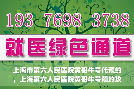 上海市第六人民医院黄哥牛号代预约，上海第六人民医院黄哥牛号预约攻略，轻松解决挂号难题