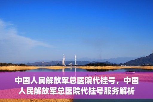 中国人民解放军总医院代挂号，中国人民解放军总医院代挂号服务解析