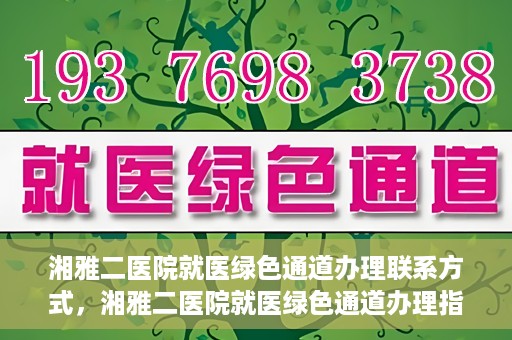 湘雅二医院就医绿色通道办理联系方式，湘雅二医院就医绿色通道办理指南，快速联系方式与办理流程解析