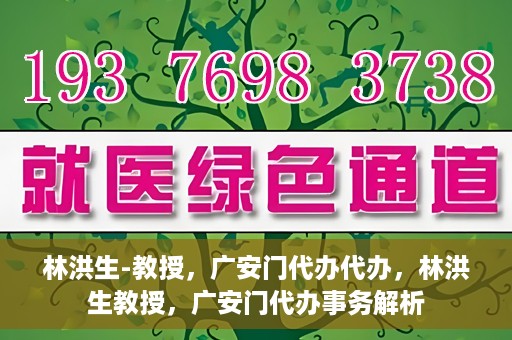 林洪生-教授，广安门代办代办，林洪生教授，广安门代办事务解析