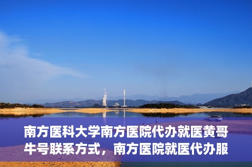 南方医科大学南方医院代办就医黄哥牛号联系方式，南方医院就医代办服务联系指南，黄哥牛号联系方式揭秘