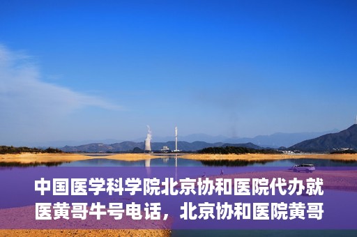 中国医学科学院北京协和医院代办就医黄哥牛号电话，北京协和医院黄哥就医代办服务，专业协助预约挂号，快速就医通道揭秘