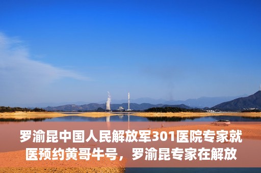 罗渝昆中国人民解放军301医院专家就医预约黄哥牛号，罗渝昆专家在解放军301医院就医预约，黄哥牛号背后的专业力量