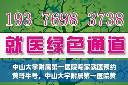 中山大学附属第一医院专家就医预约黄哥牛号，中山大学附属第一医院黄哥牛号专家预约指南
