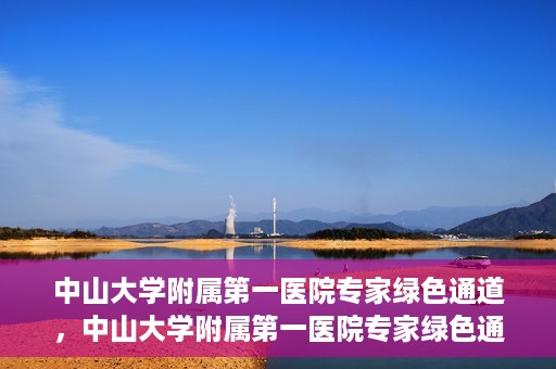 中山大学附属第一医院专家绿色通道，中山大学附属第一医院专家绿色通道，一站式健康服务体验新篇章