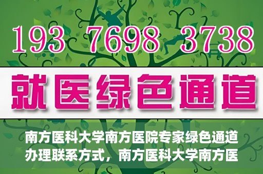 南方医科大学南方医院专家绿色通道办理联系方式，南方医科大学南方医院专家绿色通道联系指南，一键获取办理联系方式