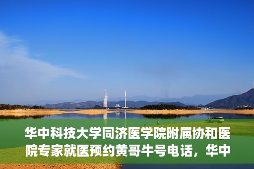 华中科技大学同济医学院附属协和医院专家就医预约黄哥牛号电话，华中科技大学同济医学院附属协和医院专家预约挂号攻略，黄哥牛号电话就医预约指南