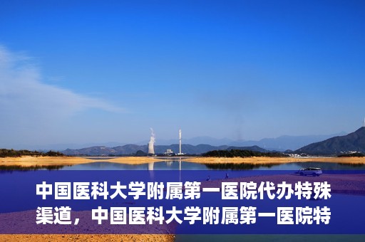 中国医科大学附属第一医院代办特殊渠道，中国医科大学附属第一医院特殊渠道代办服务详解