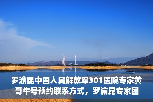 罗渝昆中国人民解放军301医院专家黄哥牛号预约联系方式，罗渝昆专家团队预约挂号联系方式及就医指南——中国人民解放军301医院黄哥牛号预约攻略