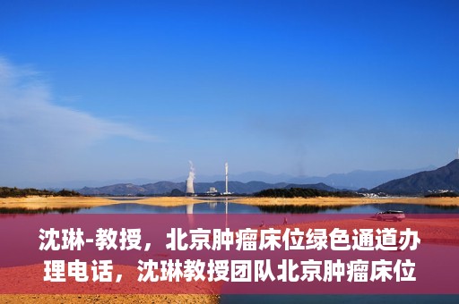 沈琳-教授，北京肿瘤床位绿色通道办理电话，沈琳教授团队北京肿瘤床位绿色通道办理热线揭秘