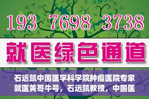 石远凯中国医学科学院肿瘤医院专家就医黄哥牛号，石远凯教授，中国医学科学院肿瘤医院权威专家解析黄哥牛号就医攻略