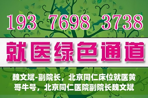 魏文斌-副院长，北京同仁床位就医黄哥牛号，北京同仁医院副院长魏文斌揭秘床位就医黄哥牛号背后的故事