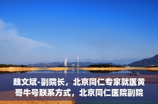 魏文斌-副院长，北京同仁专家就医黄哥牛号联系方式，北京同仁医院副院长魏文斌，黄哥牛号就医联系指南与专家联系方式揭秘