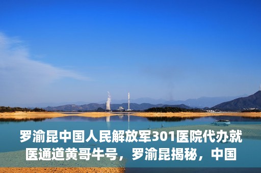 罗渝昆中国人民解放军301医院代办就医通道黄哥牛号，罗渝昆揭秘，中国人民解放军301医院就医通道背后的故事——黄哥牛号传奇