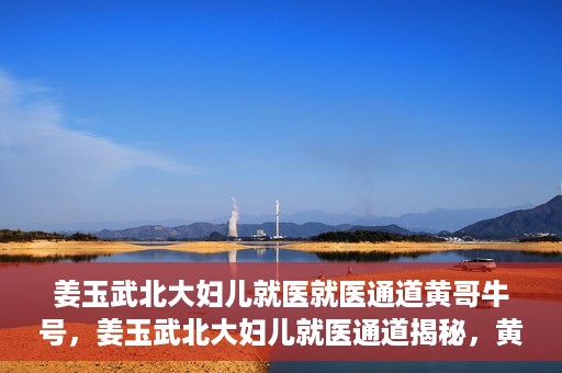 姜玉武北大妇儿就医就医通道黄哥牛号，姜玉武北大妇儿就医通道揭秘，黄哥牛号引领就医新体验