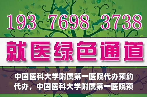 中国医科大学附属第一医院代办预约代办，中国医科大学附属第一医院预约代办服务详解