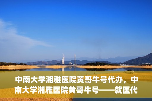 中南大学湘雅医院黄哥牛号代办，中南大学湘雅医院黄哥牛号——就医代办服务详解