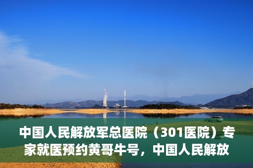 中国人民解放军总医院（301医院）专家就医预约黄哥牛号，中国人民解放军总医院（301医院）黄哥牛号专家预约就医攻略