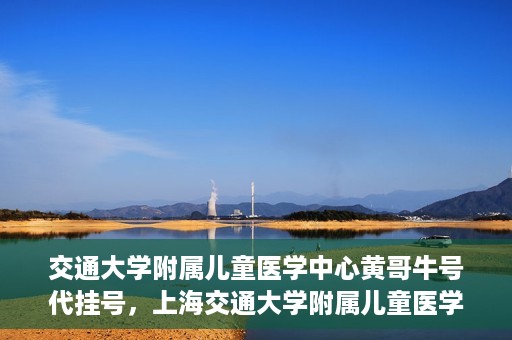 交通大学附属儿童医学中心黄哥牛号代挂号，上海交通大学附属儿童医学中心黄哥牛号代挂号解析与攻略