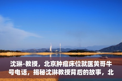 沈琳-教授，北京肿瘤床位就医黄哥牛号电话，揭秘沈琳教授背后的故事，北京肿瘤床位就医背后的黄哥牛号电话揭秘