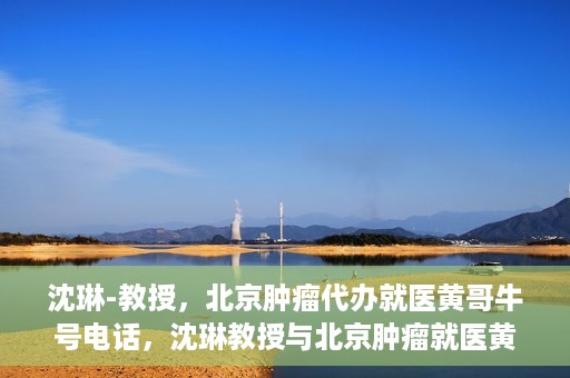沈琳-教授，北京肿瘤代办就医黄哥牛号电话，沈琳教授与北京肿瘤就医黄哥热线，权威解读牛号电话背后的故事