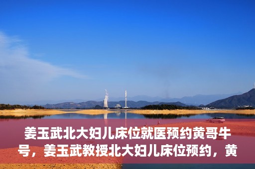 姜玉武北大妇儿床位就医预约黄哥牛号，姜玉武教授北大妇儿床位预约，黄哥牛号助您轻松就医