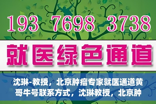 沈琳-教授，北京肿瘤专家就医通道黄哥牛号联系方式，沈琳教授，北京肿瘤专家就医通道揭秘，黄哥牛号联系方式一览无余