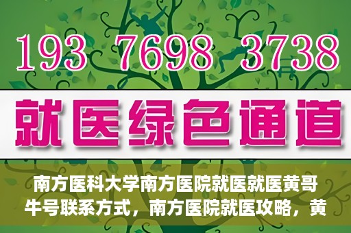 南方医科大学南方医院就医就医黄哥牛号联系方式，南方医院就医攻略，黄哥牛号联系方式揭秘