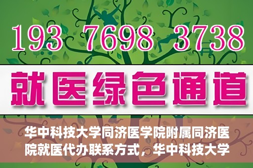 华中科技大学同济医学院附属同济医院就医代办联系方式，华中科技大学同济医学院附属同济医院就医代办服务联系方式解析
