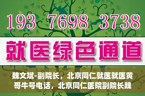 魏文斌-副院长，北京同仁就医就医黄哥牛号电话，北京同仁医院副院长魏文斌，黄哥牛号电话背后的就医故事探索