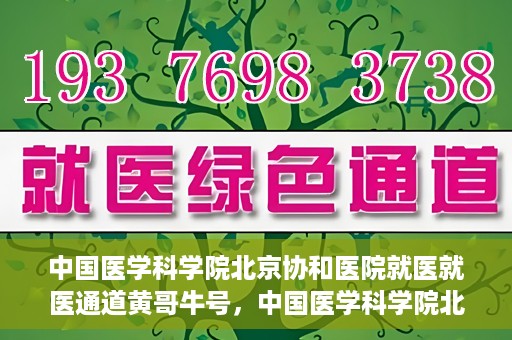 中国医学科学院北京协和医院就医就医通道黄哥牛号，中国医学科学院北京协和医院就医通道详解，黄哥牛号助您便捷就医