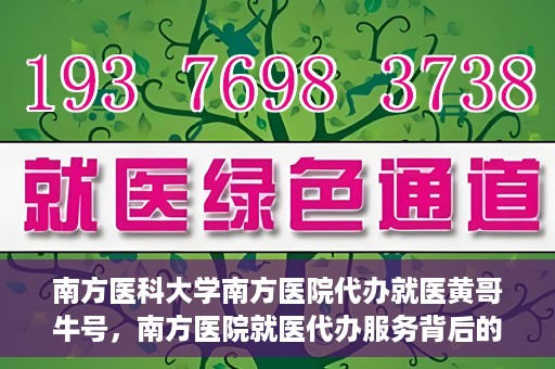 南方医科大学南方医院代办就医黄哥牛号，南方医院就医代办服务背后的故事，黄哥牛号引领就医新风尚