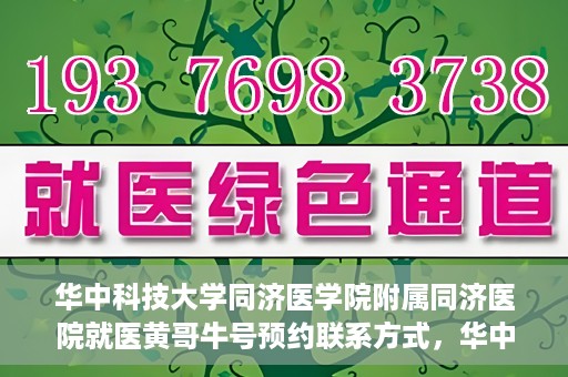 华中科技大学同济医学院附属同济医院就医黄哥牛号预约联系方式，华中科技大学同济医院黄哥牛号预约联系方式及就医指南