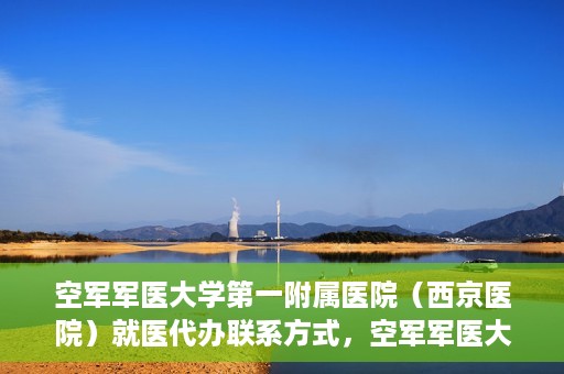 空军军医大学第一附属医院（西京医院）就医代办联系方式，空军军医大学第一附属医院（西京医院）就医代办服务指南与联系方式解读
