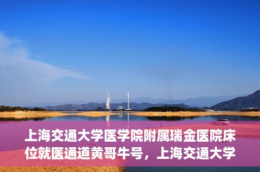 上海交通大学医学院附属瑞金医院床位就医通道黄哥牛号，上海交通大学医学院附属瑞金医院床位就医通道，黄哥牛号助您轻松就医