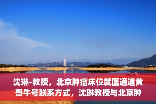 沈琳-教授，北京肿瘤床位就医通道黄哥牛号联系方式，沈琳教授与北京肿瘤床位就医通道，黄哥牛号联系方式揭秘